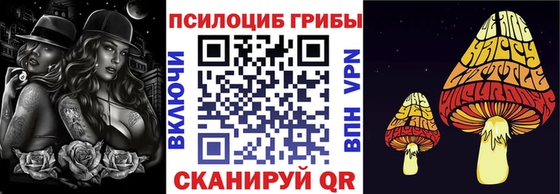 Купить  Калач  Псилоцибиновые грибы Magic Shrooms 